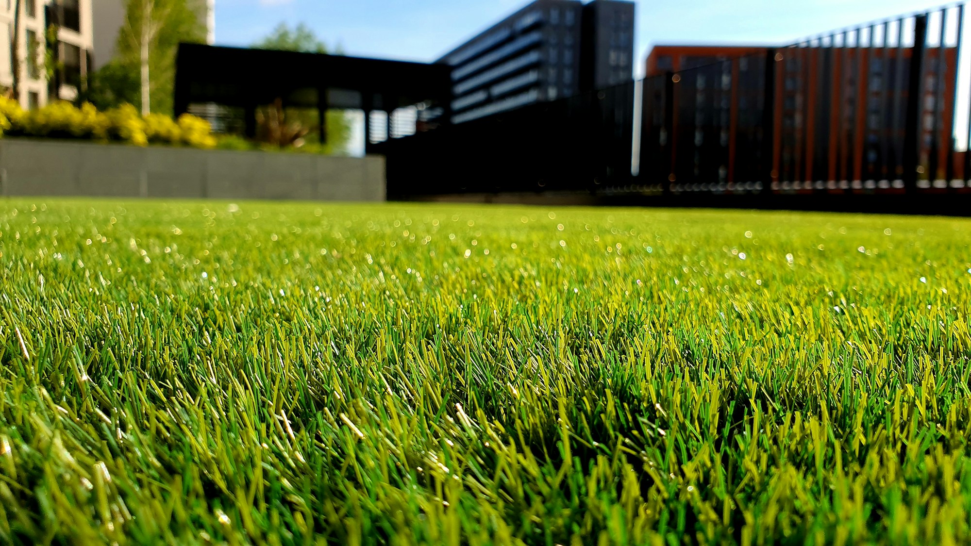 Fresh green lawn beside a modern outdoor fence